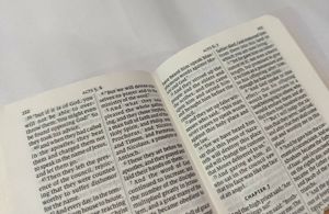 Mini Bible (New Testament Psalms Proverbs)