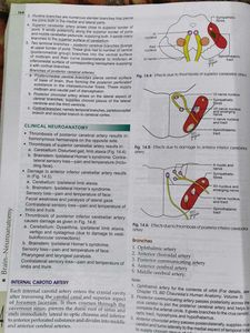 Human Anatomy Vol. 4 with workbook