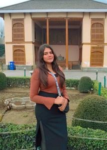 Brown Long Sleeve Top