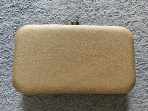 Elegant Clutch with Chain