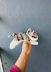 🐱 Adorable Plush Kitty Toy 🐱