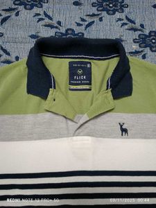 Flick Striped Polo T Shirt (💚 🤍 💙)