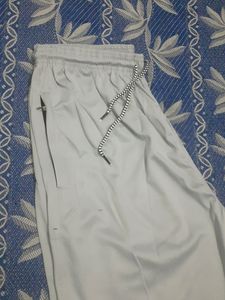 Grey Trouser For Men XXL