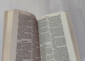 Mini Bible (New Testament Psalms Proverbs)