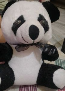 A Teddy Bear