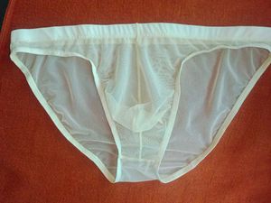 men&#39;s mesh low waist pouch Briefs