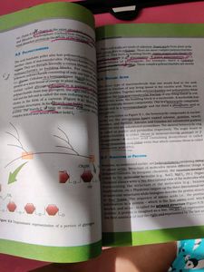 NCERT Biology 11th Standard