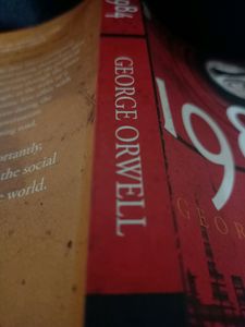 Book A Man called Ove And 1984