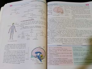 Dinesh Xact Super Simplified Biology For Class 10