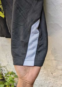 Russell Men Imported Luxury Shorts 🩳