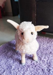 Real Sheep Toy
