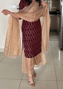 Sequinned kurta with organza plaza and dupatta