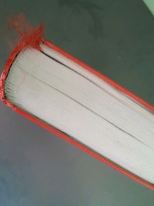 bhagavad gita
