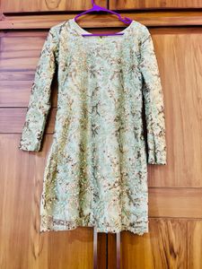Elegant Pakistani Dress