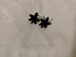 Fancy Ear Accessories 💌