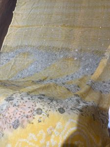 Bandini Saree In Pure Georgette