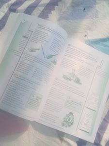 Scholastic Active Grammar 6-8