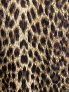 atmosphere Y2K leopard print top
