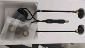 Earphones
