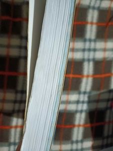 Physics Sample Paper Class 12