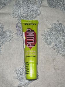 Zudio Lip Gloss Bundle