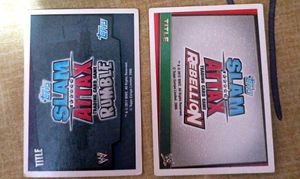 Vintage WWE Championship Cards