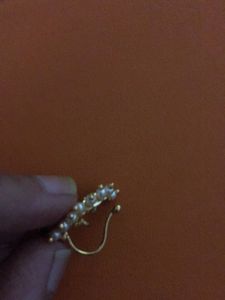 Peacock Nose Pin