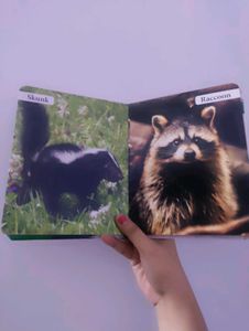 My First Book of Wild Animals