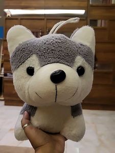 Husky Plush Toy