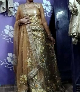 Gorgeous Lehenga Choli
