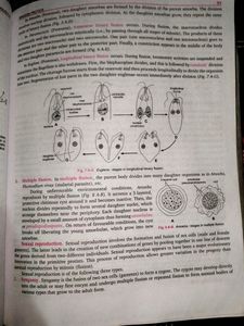 Nootan ISC Class 11th Biology Textbook