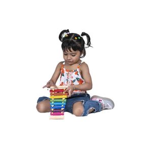 Colorful Wooden Xylophone with Mallets