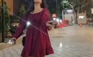 Elegant Maroon Dress