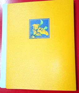 Brand New Photo Album For 40 Piece 5x7 Inch Photos