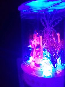 So beautiful Radhe Krishna is very wonderful and the lighting is also on in it Radhe Radhe