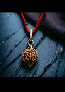 2 Panch Mukhi Rudraksha Pendant (2Pc)