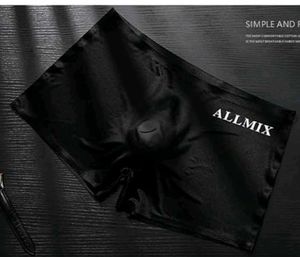 Men's ALLMIX Briefs