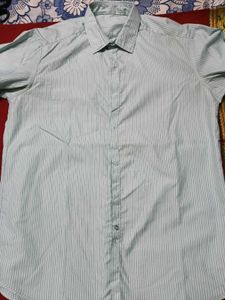 LessUsed LightOliveGreen WithWhiteSripes Shirt