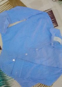 Striped Blue crop Shirt for women