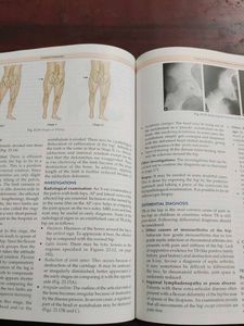 Essential Orthopaedics 7th Edition