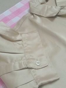 Elegant Cream Puff Sleeve Blouse