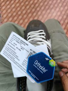The Orginal Onitsuka Tiger Sneaker