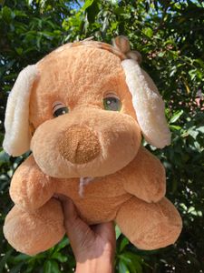 Teddy Bear