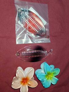 Combo 2 MatteLipstick &amp; Hair Clip Bundle - 4 Piece