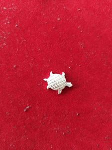 Pure Silver Lizard Nd Tortoise Fir Laxmi Pooja.