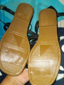 Brand New Flats