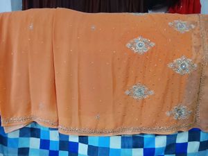Elegant Embellished Saree
