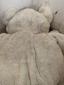Big Size Taddy Bear