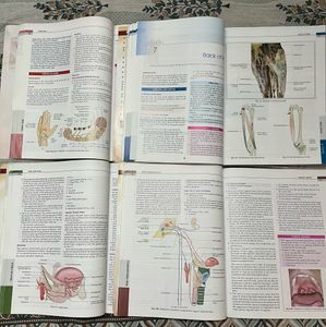 BD CHAURASIA(BDC) Anatomy