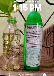 Bioderma Node Shampoo